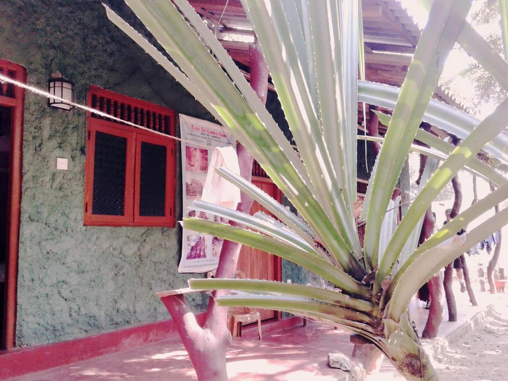 Bluesky Guest House Dambulla Exterior photo