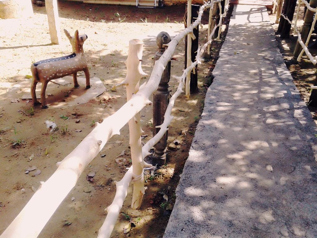 Bluesky Guest House Dambulla Exterior photo